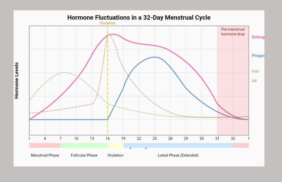 Longer cycle hrt