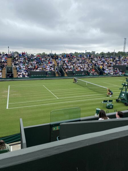 WIMBLEDON - scattered seeds in SW19