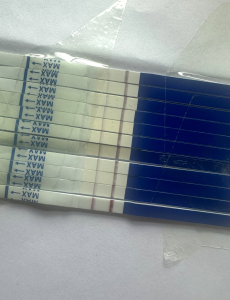 18dpo line progression worry