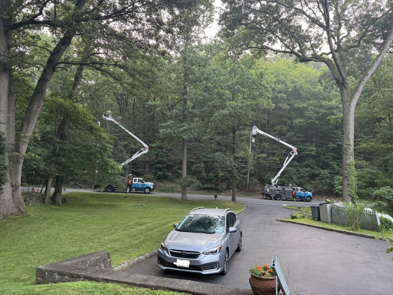 Come and tell us your dull and unexciting news 34: Calmly through the day