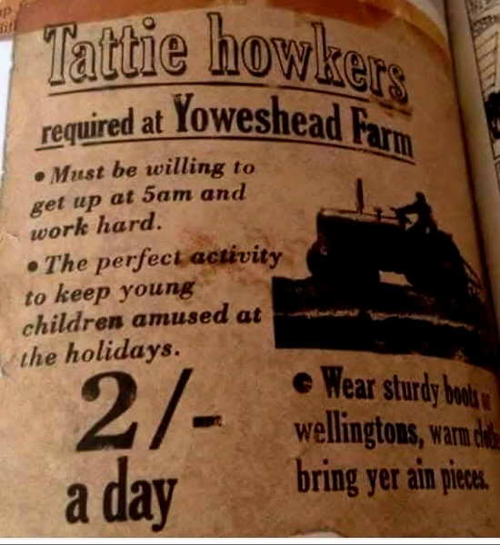 The One after the One where the Excellent Cats posed for a calendar