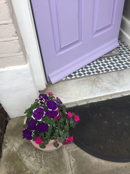 Thread 27 Starmer: He's a very clever cat