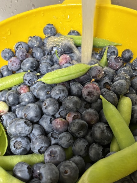 Daily Project round 7