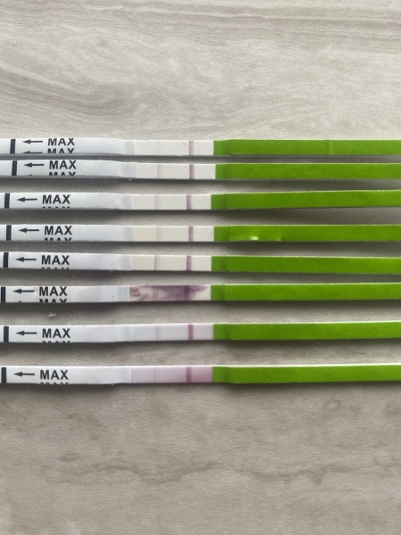 Amazon cheap ovulation tests