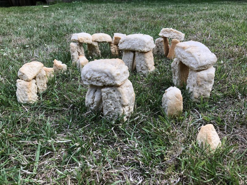 NHS Fife tries to silence nurse - Sandie Peggie vs NHS Fife Health Board and Dr Beth Upton - thread #44