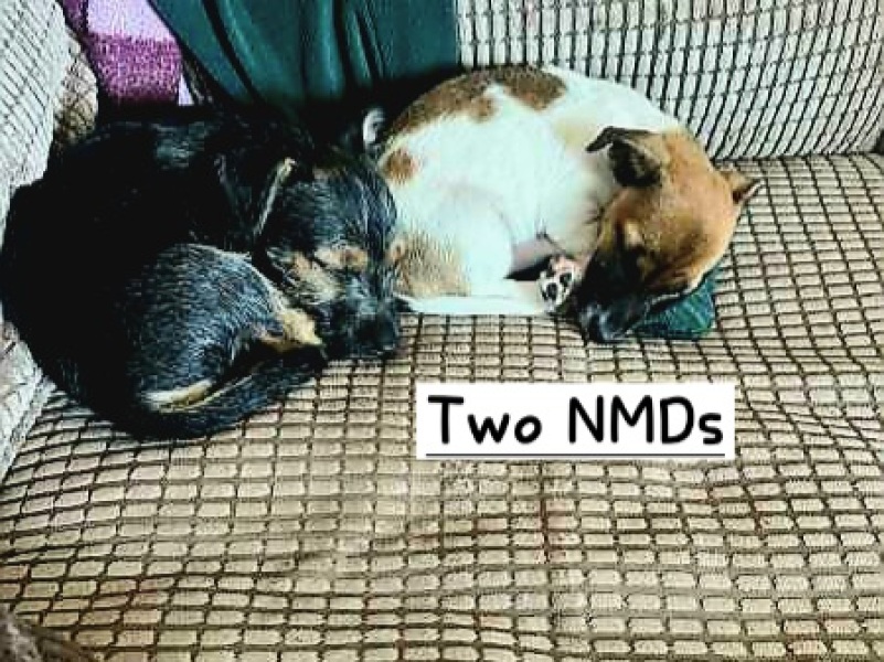 The One after the One where the Excellent Cats posed for a calendar