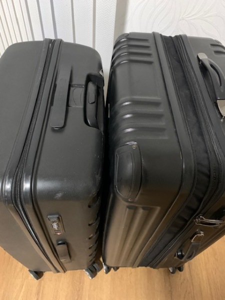 How many suitcases are you taking ?