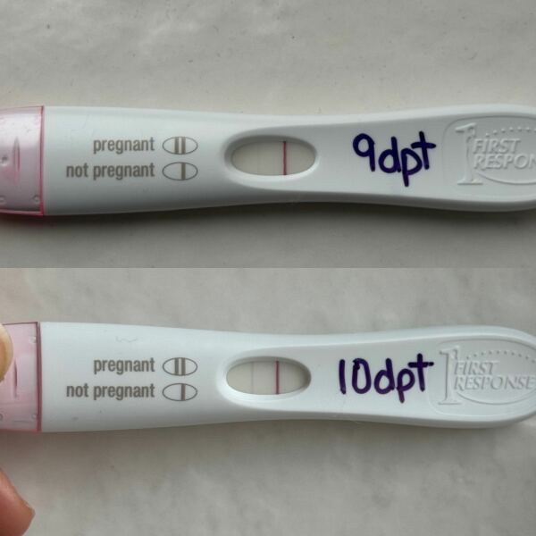 FETs June 2025 ✨✨