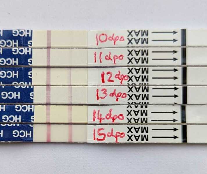 Is this positive? Help me with line eyes!