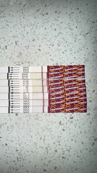 Pregmate tests- help.