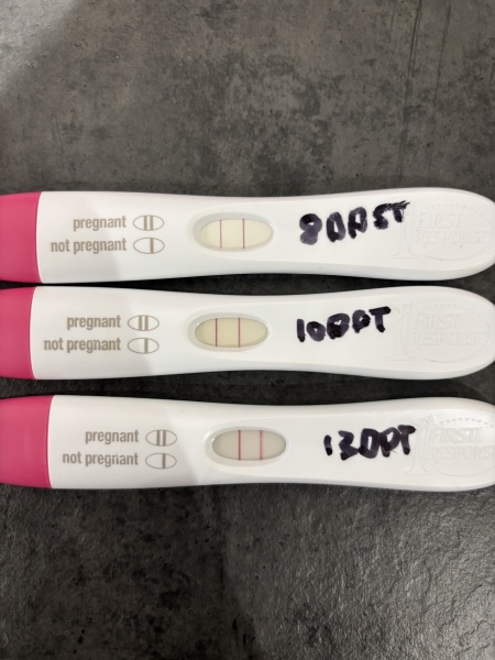 FETs June 2025 ✨✨