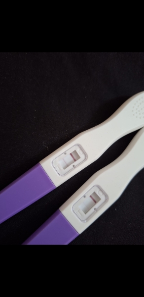 FETs June 2025 ✨✨