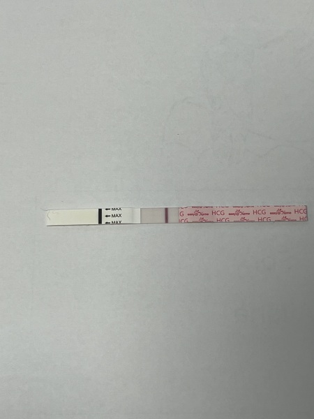 11dpo