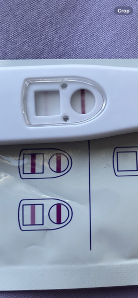 Clear & Simple - pink line outside of 10 mins. Evap? 