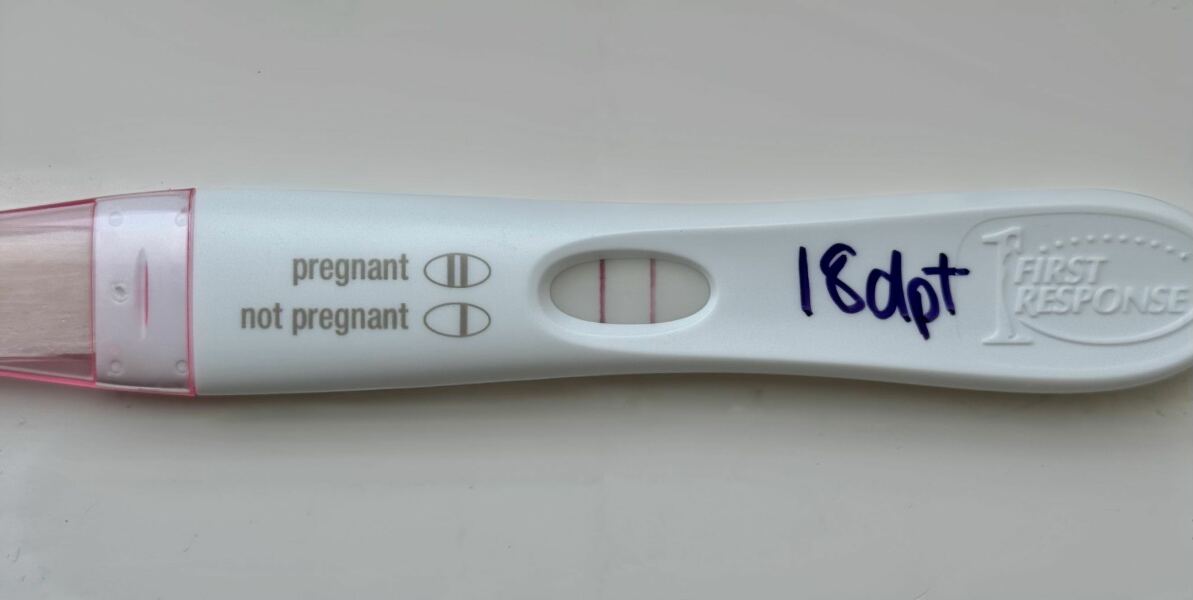 FETs June 2025 ✨✨