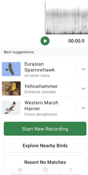 Merlin App Appreciation plus General Birding Chat