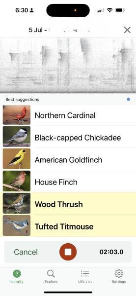 Come and tell us your dull and unexciting news 34: Calmly through the day