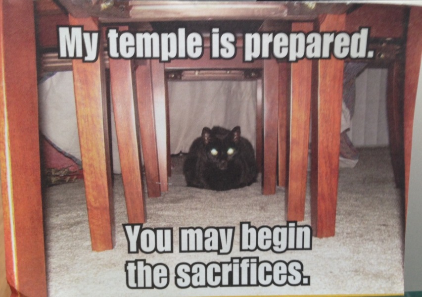 The One after the One where the Excellent Cats posed for a calendar