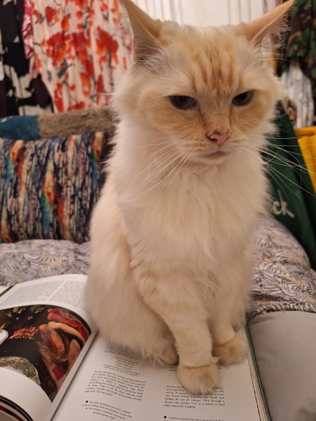 Year round Nigel Slater discussion thread Part 2