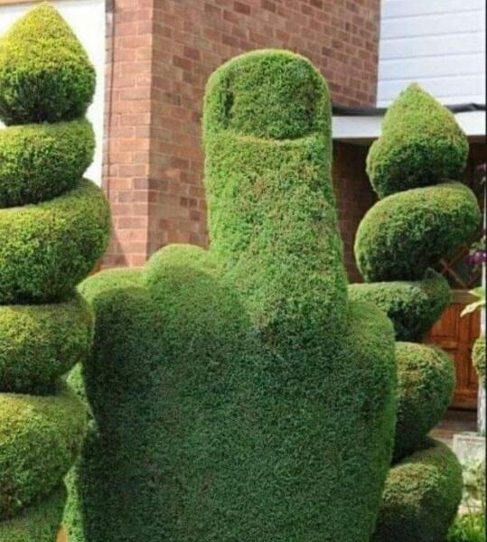 Neighbour made me feel like shit