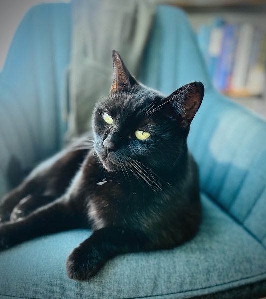 Mounjaro Feb 2025 starters (thread 6!)…