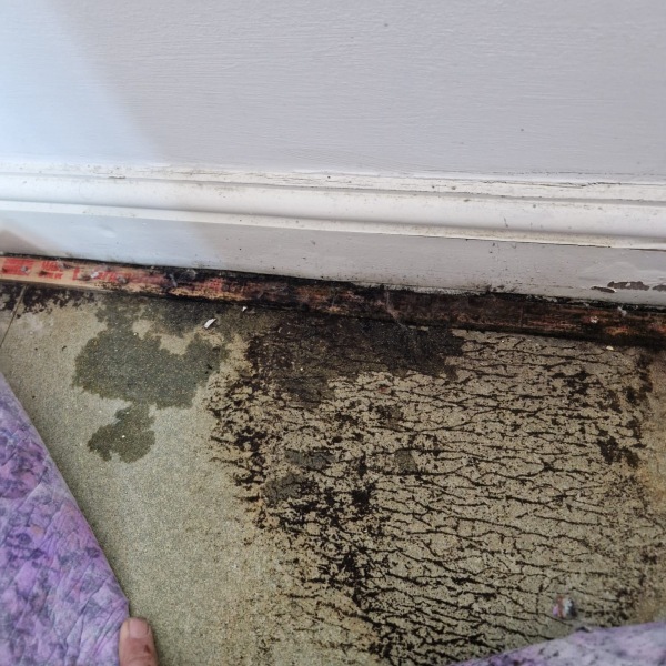 Black mould in kids bedroom