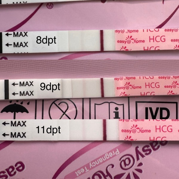 FETs June 2025 ✨✨