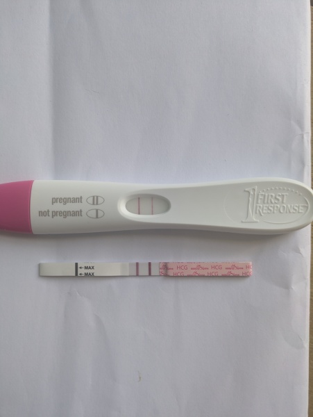 Is this enough progression between 9-19dpo?