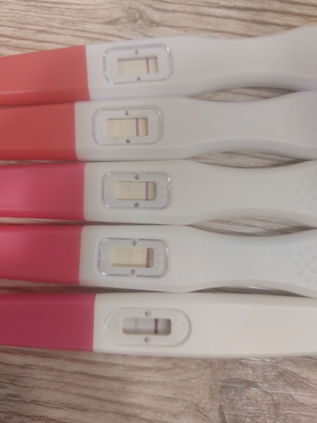 Is this a new pregnancy 4 weeks after loss