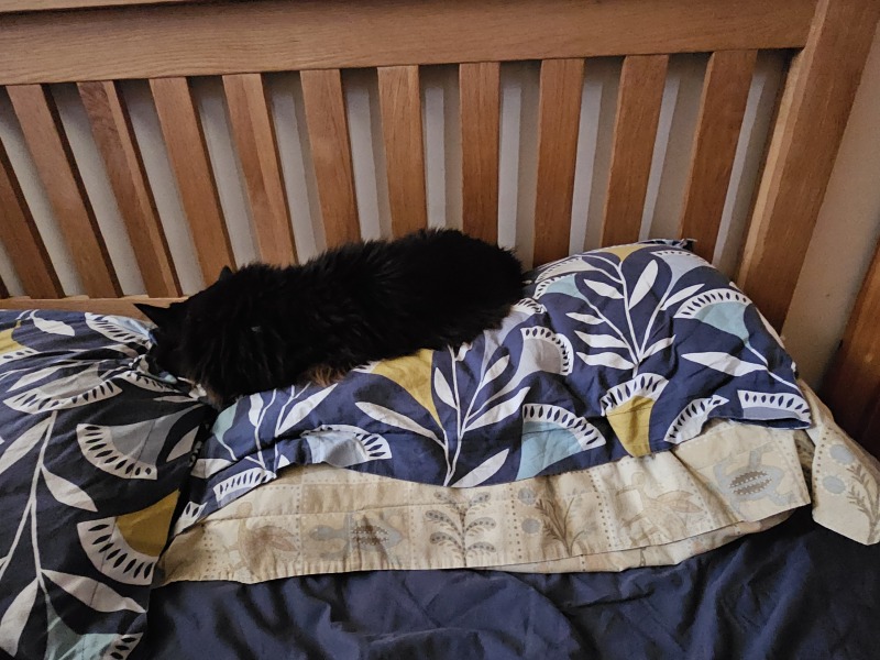 The One after the One where the Excellent Cats posed for a calendar