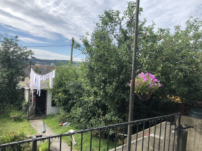 Washing line props