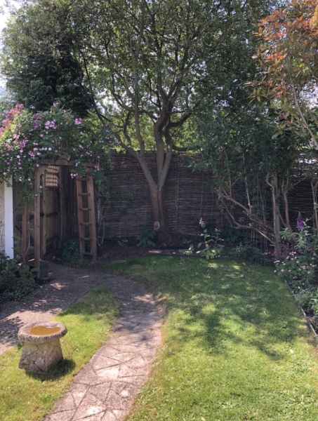 Anybody swapped their grass lawn for camomile or another green alternative?