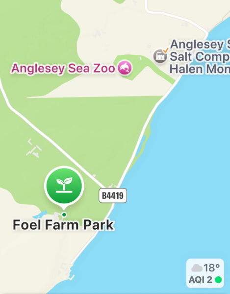 Anglesea Recommendations Please