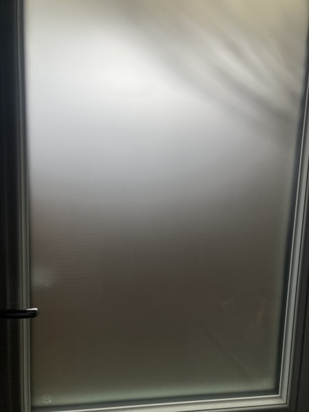 Recommend me an external bathroom door - maximum light but no naked silhouettes at night