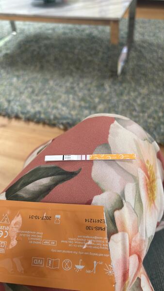 13/14 DPO - Could this be twins?