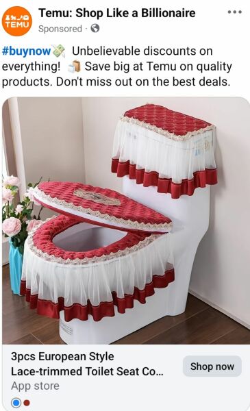 Friend should have told me her toilet seat was broken?