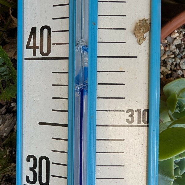 How are you enjoying the 'UK' heatwave?
