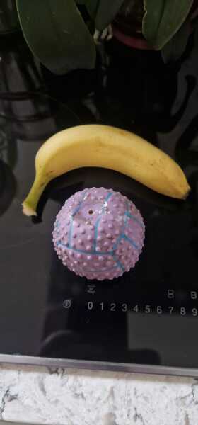 Where can you buy this ball?
