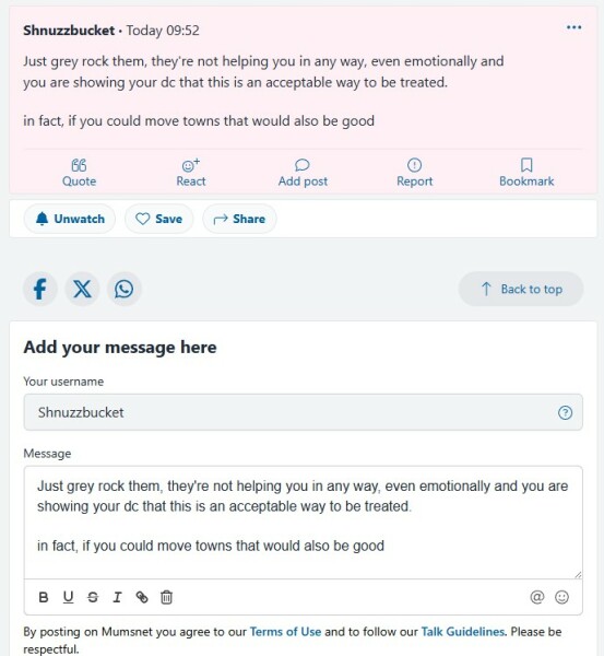 Posting leaves text in the box you write in (see image)