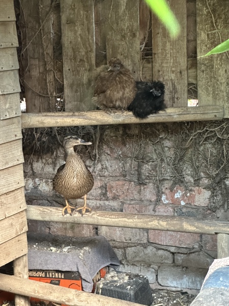 January 2025 Starters - Thread 10 - Onward & Downward Losers!