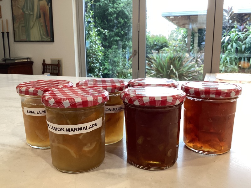 NHS Fife tries to silence nurse - Sandie Peggie vs NHS Fife Health Board and Dr Beth Upton - thread #44