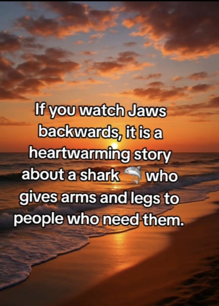JAWS is Brilliant