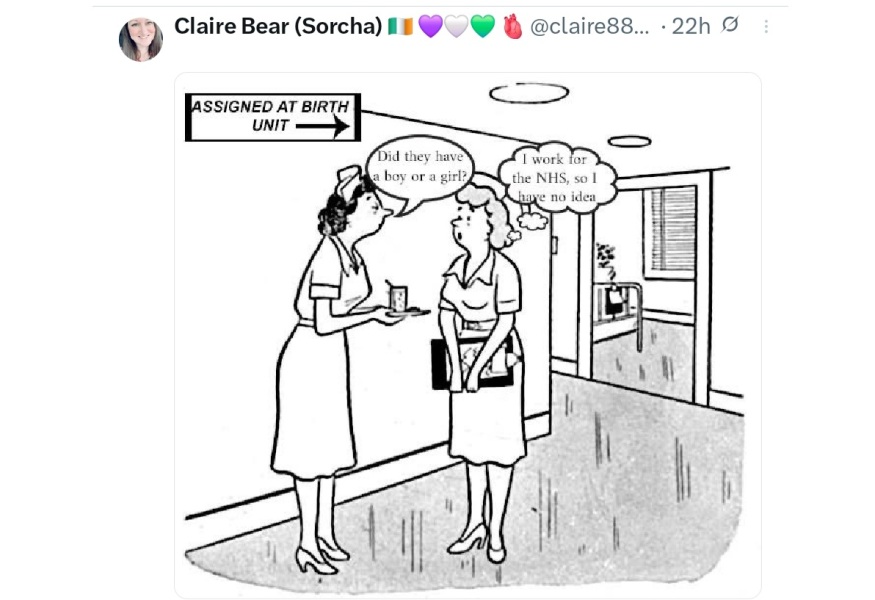 NHS Fife tries to silence nurse - Sandie Peggie vs NHS Fife Health Board and Dr Beth Upton - thread #41