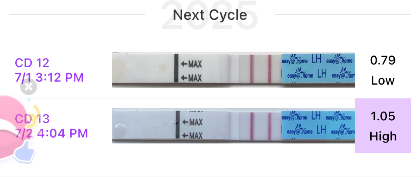 LH results and timing when to DTD