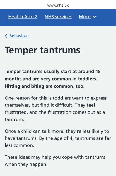 Friend shouted at my 2 year old