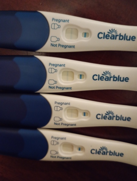 clear blue evap lines or pregnant?