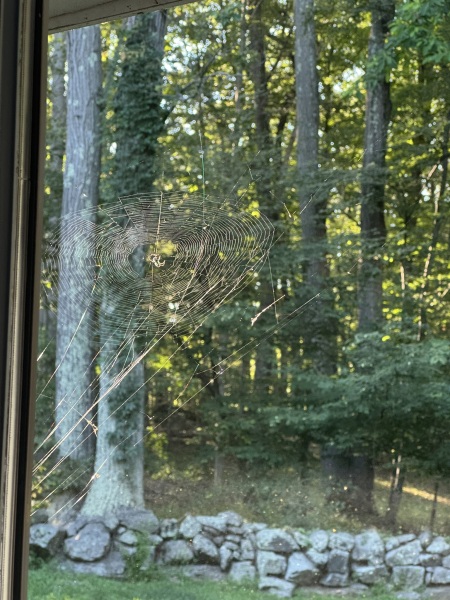 Come and tell us your dull and unexciting news 34: Calmly through the day