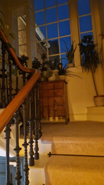 Les Parisiennes des Mamansnet: It's French charm, you know, beheaded people, red wine and blood all over the place - it's romantic, it's normal.