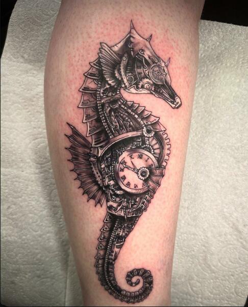 Which one is your favourite