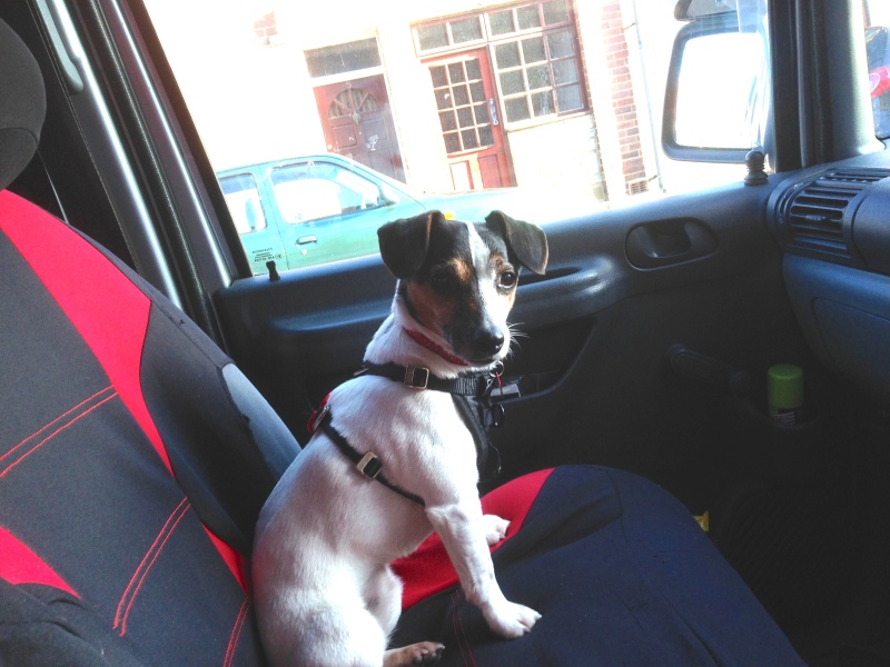 An update to the WI Announcement thread. My DH just got a reply to his application to join them.